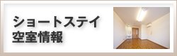 V[gXeC󎺏