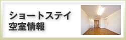 V[gXeC󎺏
