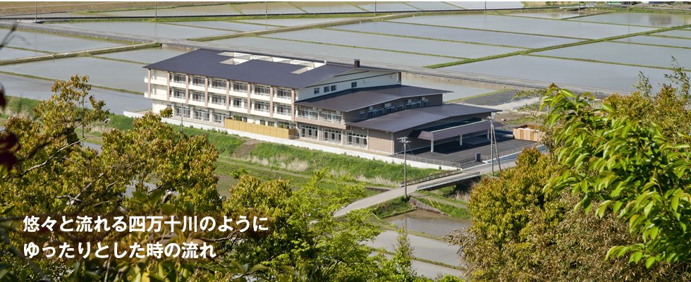 �I�X�Ɨ����l���\��̂悤�ɂ������Ƃ������̗���